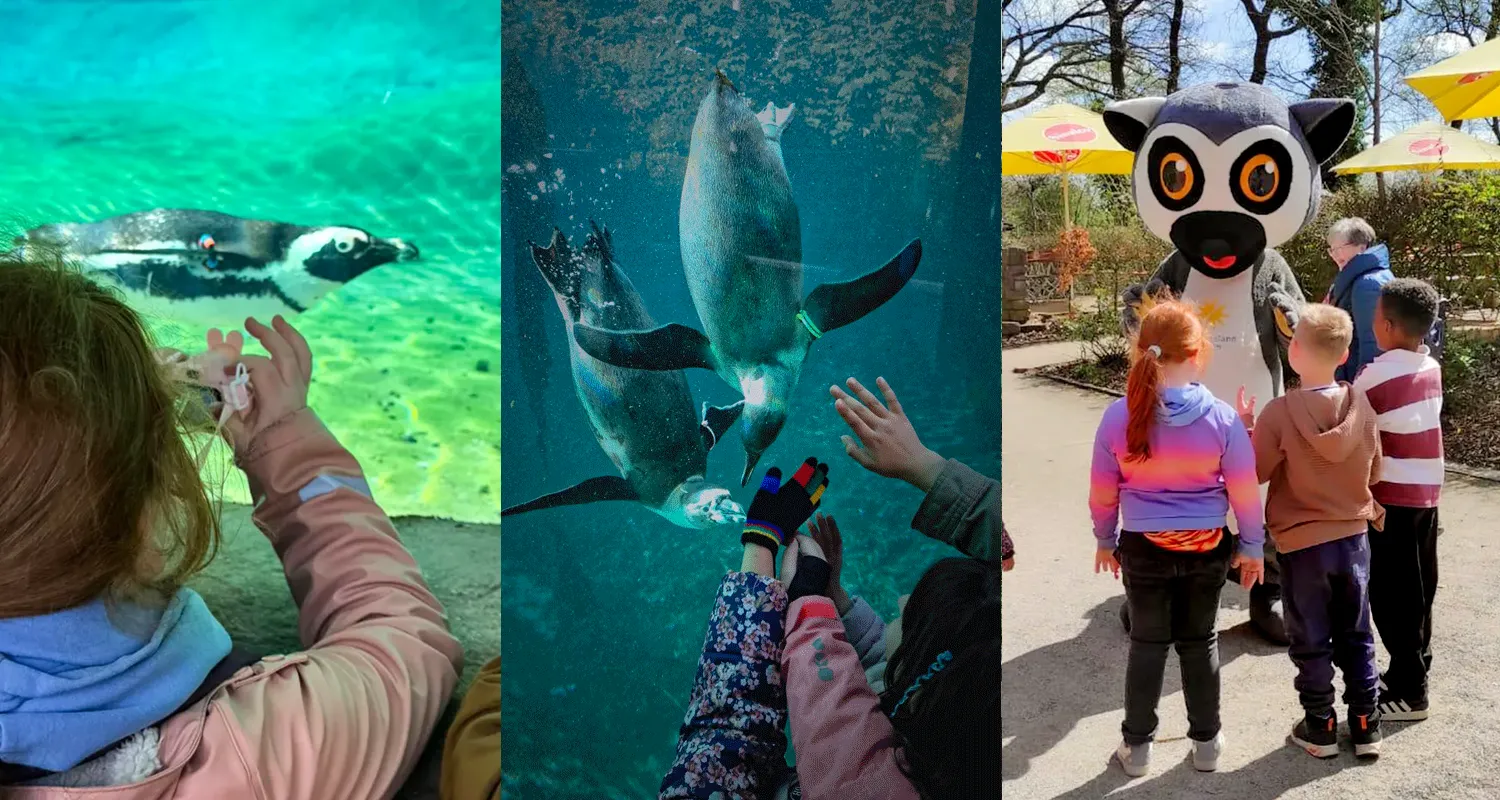Fotocollage von Kindern die vor den Gehegen oder Aquarien im Tierpark Bochum stehen