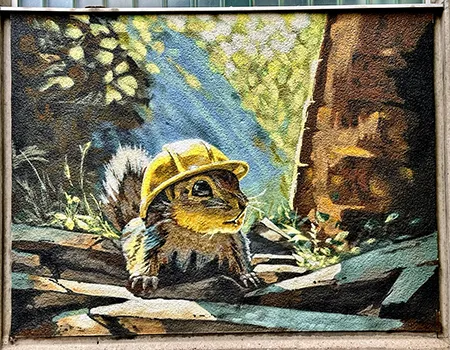 Motiv Eichhörnchen
