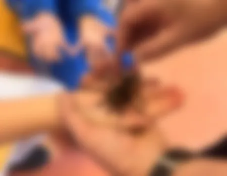 ???