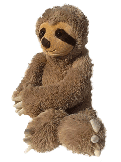 Faultier als Klassentier